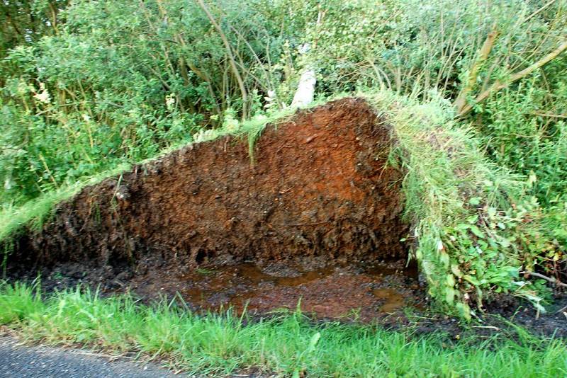 Následky řádění středeční podvečerní bouře na Chebsku