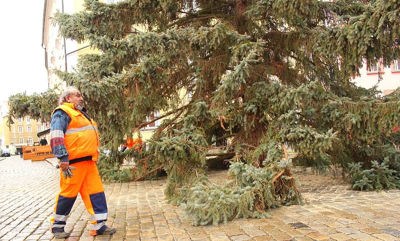 Vánoční strom v Karlovarském kraji už v těchto dnech ozdobil chebské náměstí.