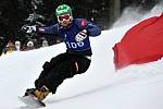 Čtvrtý ročník FIS Evropského poháru ve snowboardingu se konal v Mariánských Lázních.