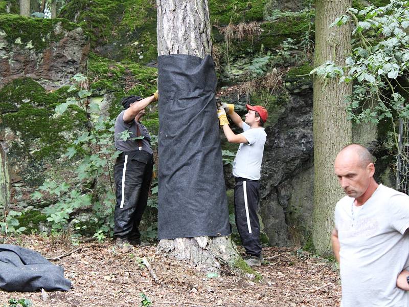 Odborníci se chtějí dozvědět co nejvíce o vyhaslé sopce Komorní hůrkau Františkových Lázní.