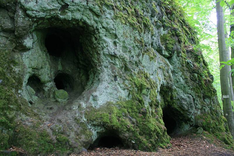 Expozice v chebském muzeu a krajina sopečného původu na Karlovarsku.