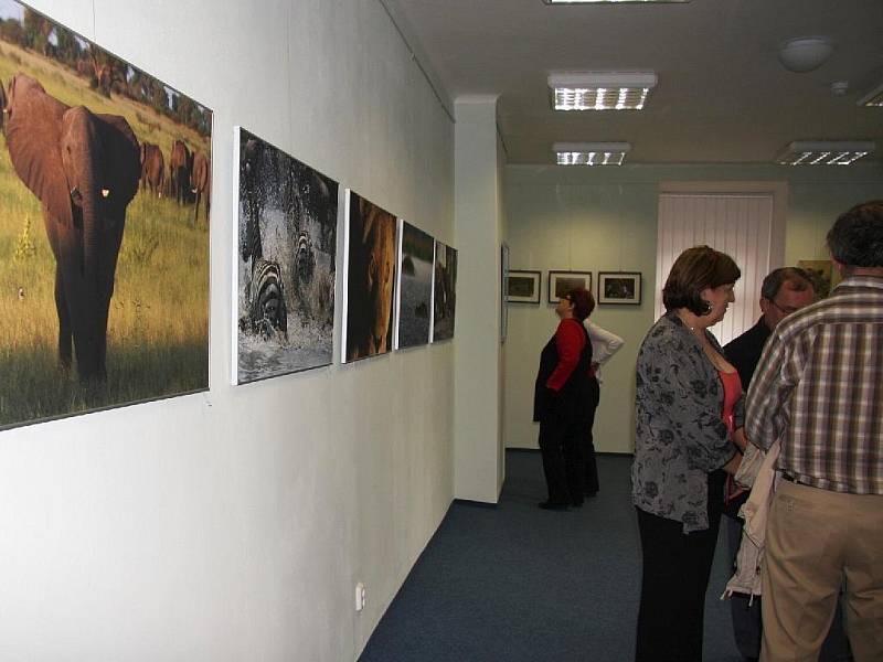 Muzeum ve Františkových Lázních pořádá v těchto dnech zajímavou výstavu  kreseb a fotografií žurnalisty a fotografa Jana Svatoše. 