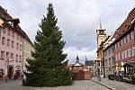 Cheb má svůj vánoční strom, rostl v Lesní ulici desítky let