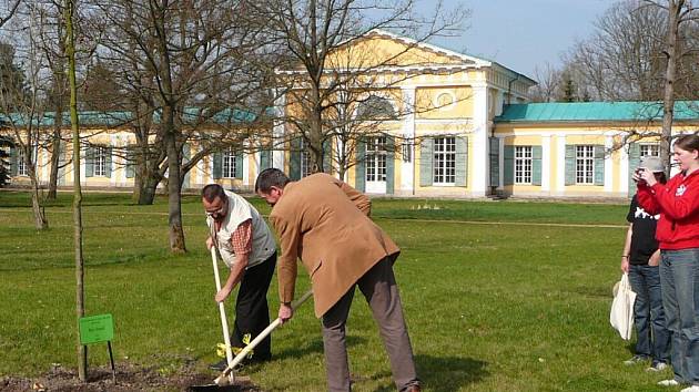 Sázení dalších sponzorských stromů ve Františkových Lázních