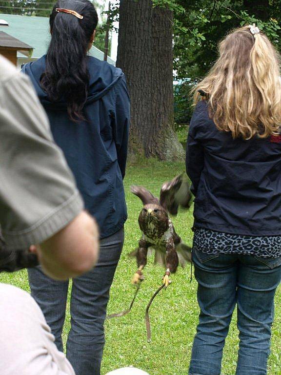 Spatřit na vlastní oči způsob lovu dravých ptáků mohli lidé v areálu Národní přírodní rezervace Soos u Nového Drahova.