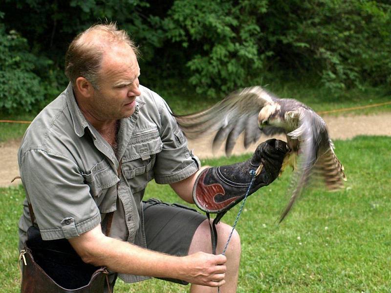 Spatřit na vlastní oči způsob lovu dravých ptáků mohli lidé v areálu Národní přírodní rezervace Soos u Nového Drahova.