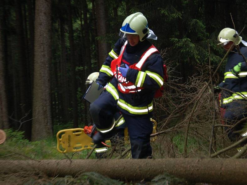 DESÍTKY ZRANĚNÝCH museli zachránit hasiči a zdravotníci z havarovaného vlaku u Studánky u Aše, kde se uskutečnilo cvičení složek integrovaného záchranného systému.