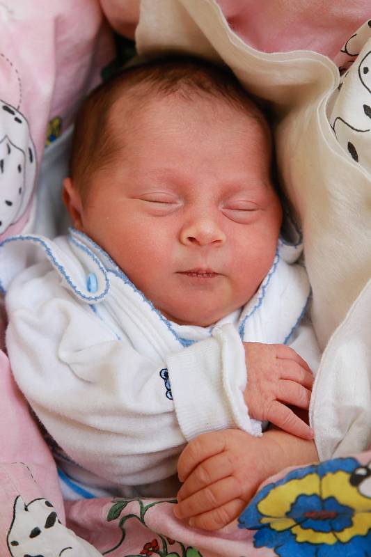 MICHAELA PELIKÁNOVÁ se poprvé rozkřičela v chebské porodnici pondělí 3. prosince v 18.12 hodin. Při narození vážila 2 670 gramů. Doma v Sokolově se z malé Michaelky těší maminka Michaela a tatínek Marek.
