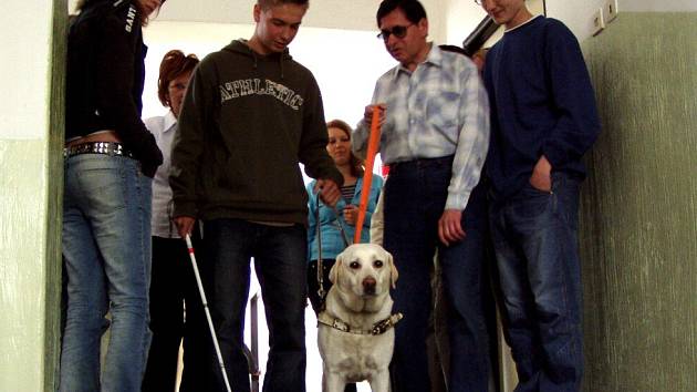 Studenti chebské střední školy si vyzkoušeli chůzi ze schodů se slepeckým psem