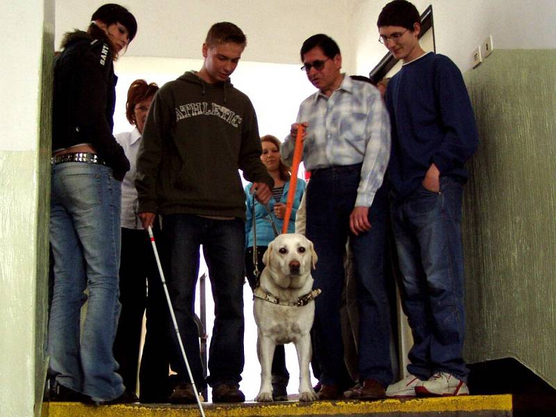 Studenti chebské střední školy si vyzkoušeli chůzi ze schodů se slepeckým psem