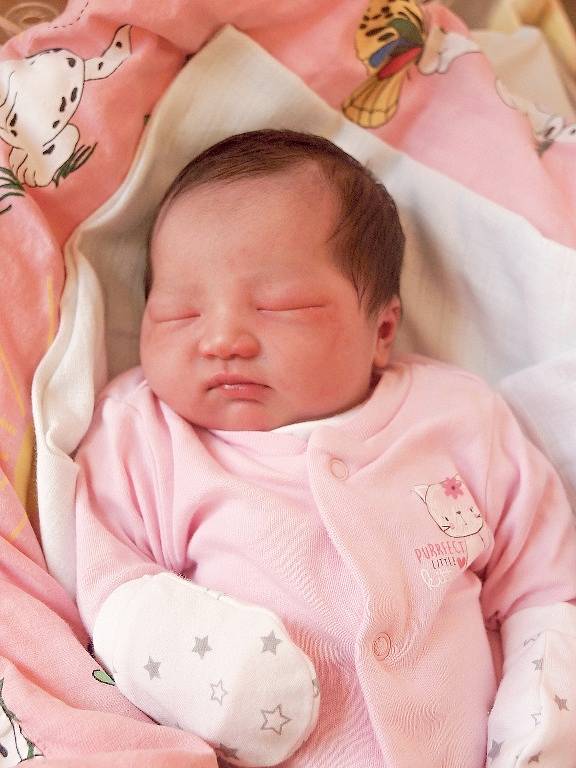 TRAN NGOC KYHAN se narodila v neděli 4. Ledna v 7.55 hodin. Na svět přišla s váhou 3 070 gramů mírou 48 centimetrů. Z malé holčičky se v Chebu radují doma bráška Hung se sestřičkou Hien, maminka Dung a tatínek Hong.