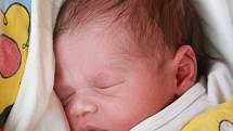 SABINA A ROBIN LAKATOSOVI se narodili ve středu 1. května. Sabinka se narodila v 4.44 hodin a vážila 2 550 gramů. Robinek přišel na svět v 4.54 hodin a vážil 2 730 gramů. Doma v Mariánských Lázních se z miminek radují sourozenci, maminka Renata a tatínek 