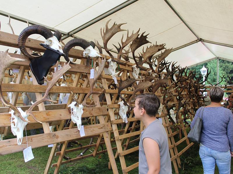 Trofeje na Kladské obdivovaly stovky návštěvníků.