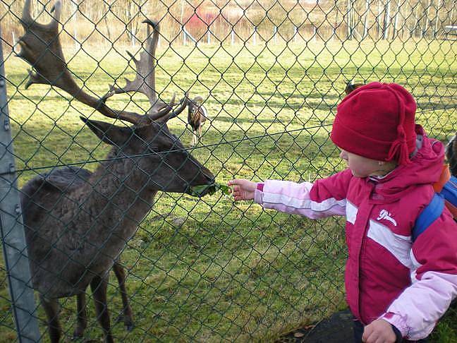 Děvčata se na výletě bavila. 