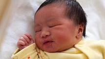 BAO LE HOANG GIA se narodil v sobotu 11. ledna. Při narození vážil 3 500 gramů a měřil 49 centimetrů. Doma v Chebu se z malého brášky raduje sestřička Bao Ngoc, maminka Nga a tatínek Kien.