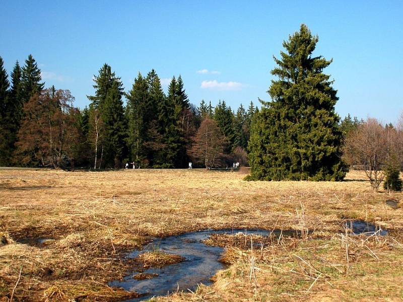 Jarní procházka po naučné stezce na Kladské u Mariánských Lázní