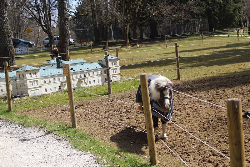 Park Boheminium v Mariánských Lázních v sobotu lákal spoustu návštěvníků.