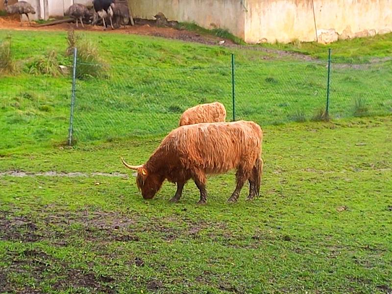 Území kolem přehrady Skalka nese název Goethův naučný lesopark.