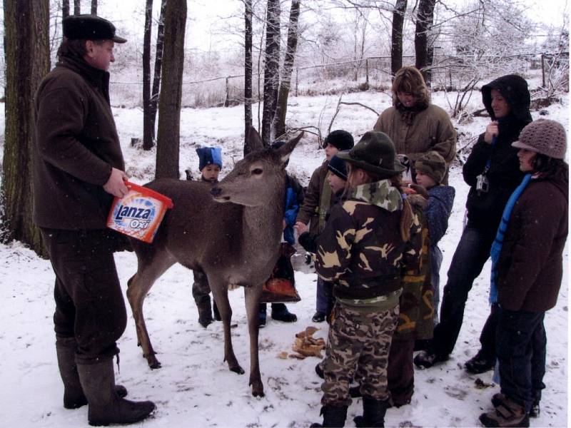 DĚTI Z LIPOVSKÉ ŠKOLY se byly tento týden podívat v Hroznatově v oboře. Mohly pozorovat lesní zvěř zblízka