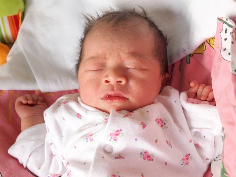 NGOC BAO TRAN NGUYEN se narodila ve středu 5. února v 10.38 hodin. Na svět přišla s váhou 3 020 gramů a mírou 47 centimetrů. Maminka Kim Tuyen a tatínek Tiep se těší z malé dcerušky doma v Chebu.