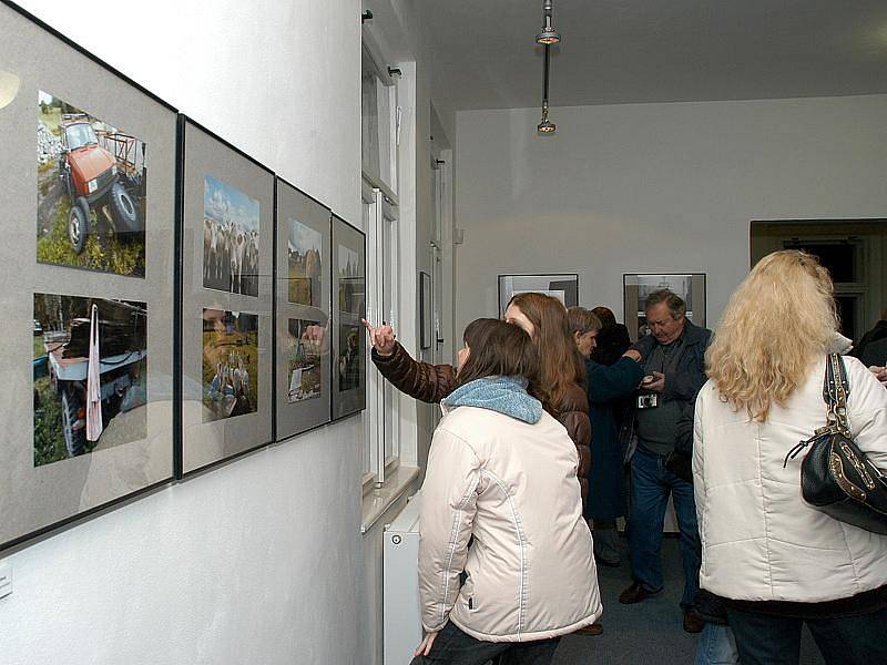 Výběrem z tisíce snímků z roku 2008 vznikla rozsáhlá výstava.