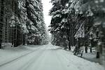 Zasněženou silnici z Lázní Kynžvart do Kladské a Pramenů silničáři nesmí chemicky ošetřovat. Zimní údržbu provádí jen pluhováním.