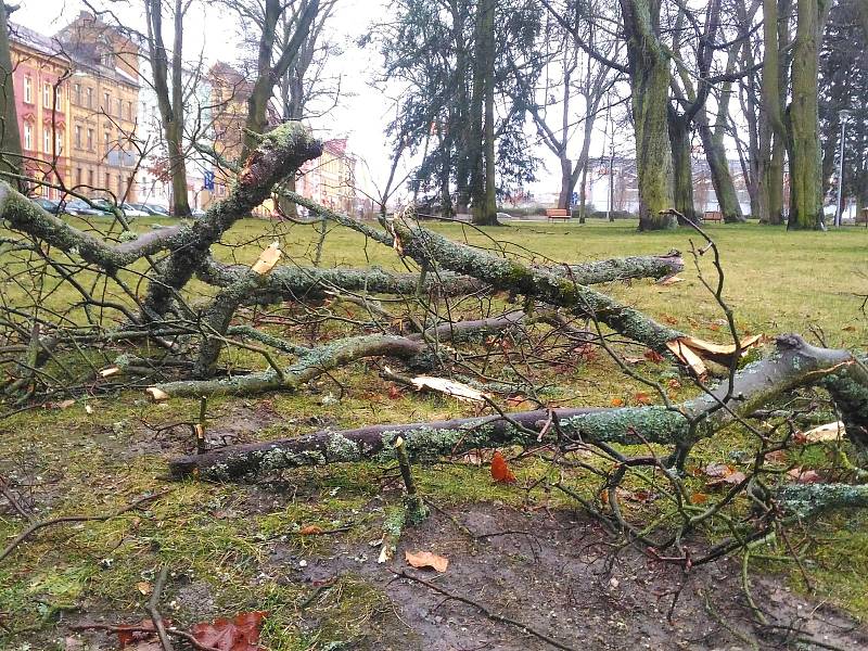 V městských sadech v Chebu větrová bouře Sabina zlomila strom a ulámala několik větví.