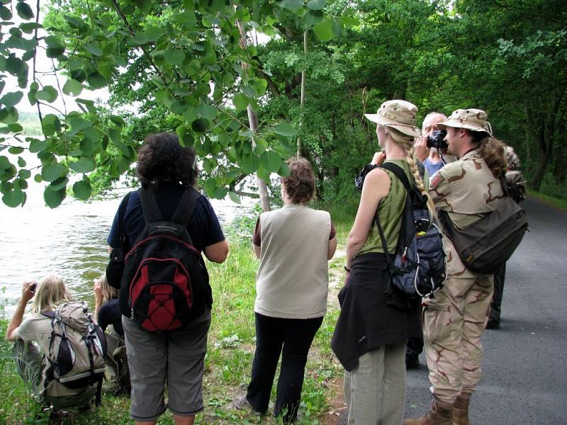 Ornitologická výprava na rybník Amerika u Františkových Lázní
