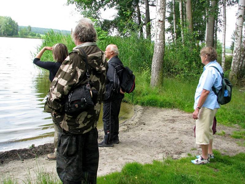 Ornitologická výprava na rybník Amerika u Františkových Lázní