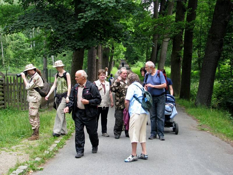 Ornitologická výprava na rybník Amerika u Františkových Lázní