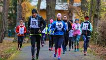 Park patřil běžcům a chodcům. Sportovali pro dobrou věc.