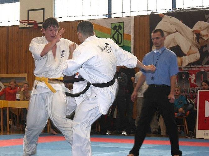 V hale Slavoje se konalo mistrovství republiky v shinkyokushinkai karate. V sedmi kategoriích se ho zúčastnilo necelých šest desítek závodníků.    