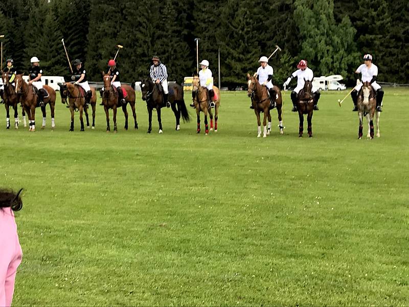 Royal Golf & Polo cup