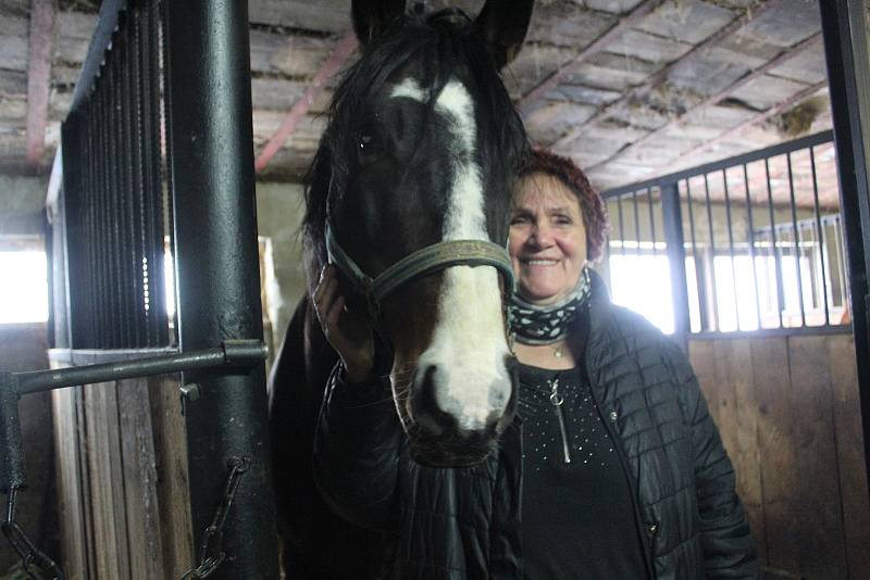 Kočárová doprava zažívá krizi. Úspory zmizely a podnikatelé se dostávají do situace, kdy nemají na krmení, veterinu ani na kováře.