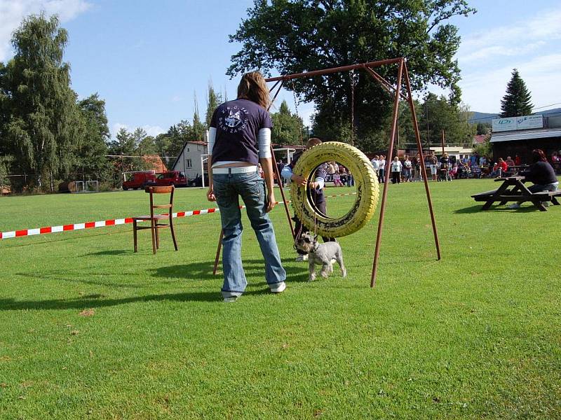 V Dolním Žandově se uskutečnila první Žandovská packa, voříškiáda, která se bude pravidelně opakovat.