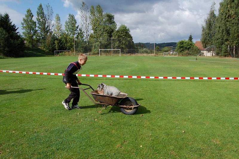 V Dolním Žandově se uskutečnila první Žandovská packa, voříškiáda, která se bude pravidelně opakovat.