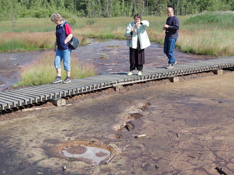 Rezervace Soos, která se nachází osm kilometrů od Františkových Lázní, vznikla přibližně před deseti tisíci lety na dně tehdy vysychajícího jezera.
