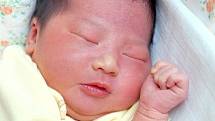 NGOC LINH DANG se narodila v sobotu 2. listopadu v 3.28 hodin. Na svět přišla s váhou 3 280 gramů a mírou 49 centimetrů. Doma v Chebu se z malé sestřičky raduje bráška Pavel spolu s maminkou Mai a tatínkem Hai.