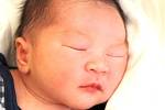 QUANG LUU NGUYEN se narodil v pondělí 9. září v 4.36 hodin. Na svět přišel s váhou 3 550 gramů a mírou 50 centimetrů. Doma v Chebu se z malého synka raduje maminka Van Anh Quang a tatínek Thang.
