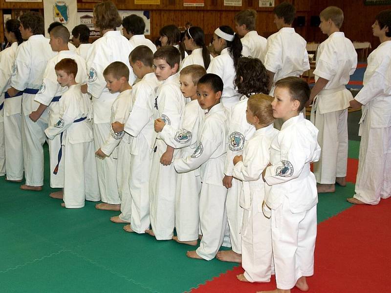 Evropský pohár dětí a mládeže v shinkyokushinkai karate ve Skalné