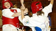 Evropský pohár dětí a mládeže v shinkyokushinkai karate ve Skalné