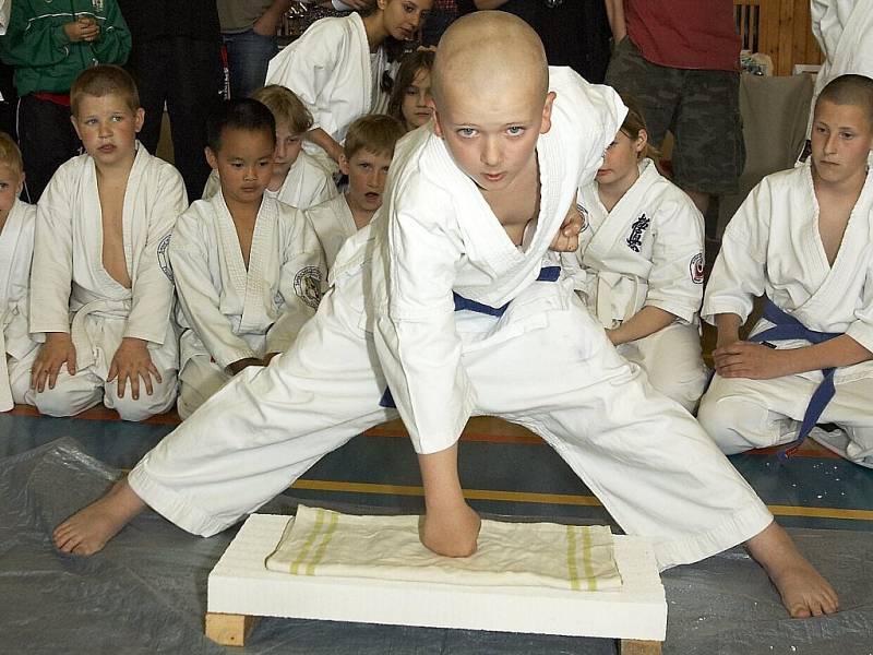 Evropský pohár dětí a mládeže v shinkyokushinkai karate ve Skalné