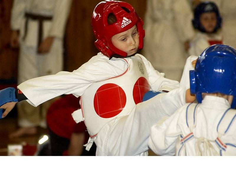 Evropský pohár dětí a mládeže v shinkyokushinkai karate ve Skalné