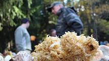 Které houby jsou ještě jedlé a které už není vhodné na podzim sbírat? Nejen to se dozvěděli lidé, kteří se o víkendu zúčastnili symbolického zamykání lesa na Zelené hoře u Chebu.