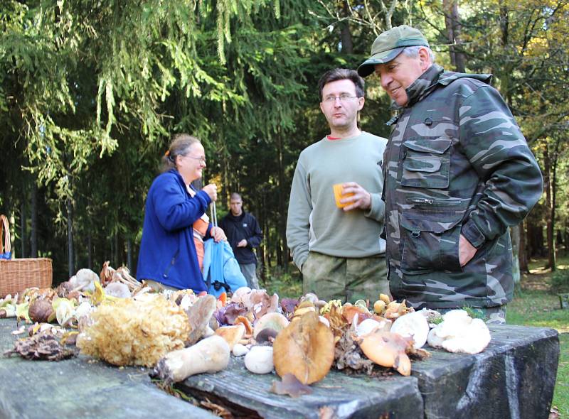 Které houby jsou ještě jedlé a které už není vhodné na podzim sbírat? Nejen to se dozvěděli lidé, kteří se o víkendu zúčastnili symbolického zamykání lesa na Zelené hoře u Chebu.