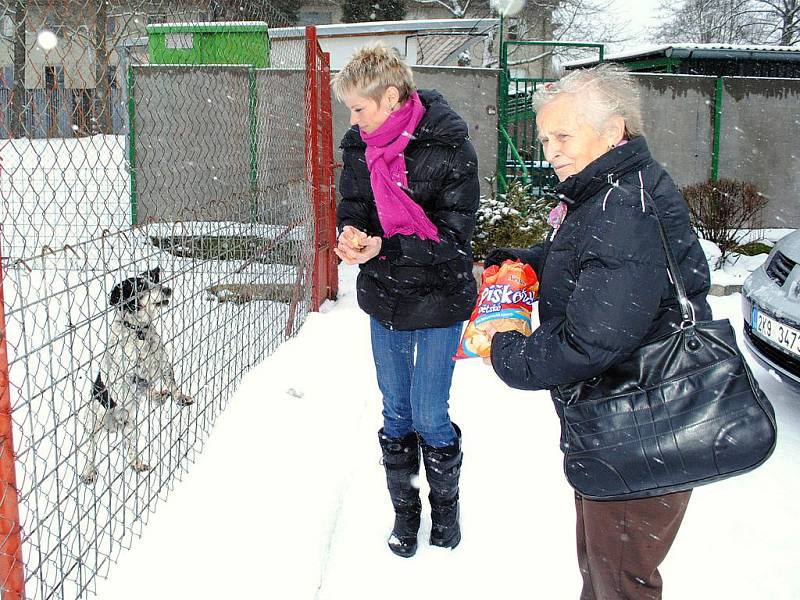 PSÍ KONZERVY, PIŠKOTY a dva tisíce korun v hotovosti přivezla do psího útulku v Horní Hraničné Helena Greplová z Aše. Na sbírce se podíleli cvičenci z ašského studia. 