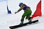 Čtvrtý ročník FIS Evropského poháru ve snowboardingu se konal v Mariánských Lázních.