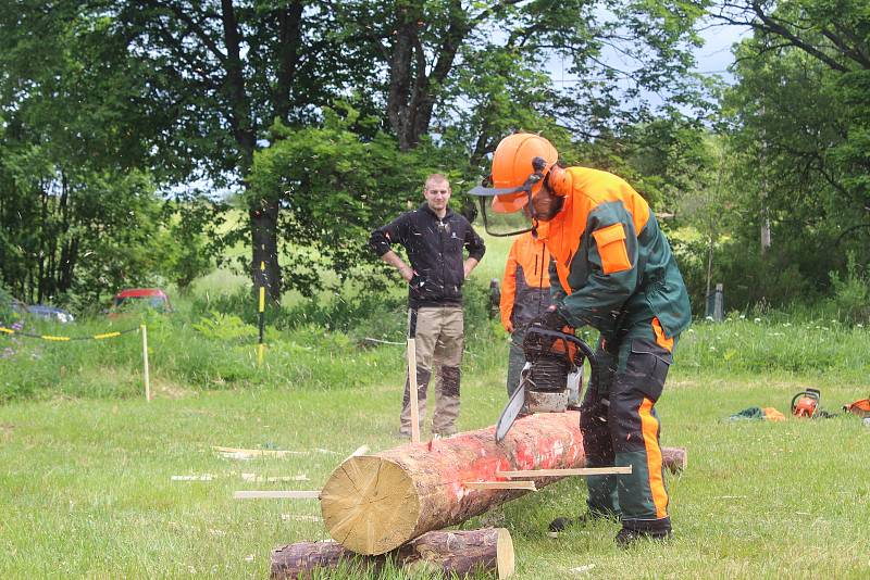 PRAPILA. Srandamač dřevorubců se v Pramenech uskutečnil už potřetí. Adepti na vítěze museli ukázat například i to, jak si poradí s odvětvováním.