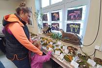 Tradiční podzimní výstava hub se konala v Mariánských Lázních