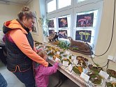 Tradiční podzimní výstava hub se konala v Mariánských Lázních